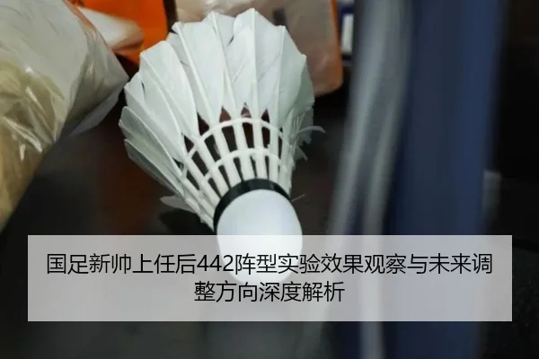 国足新帅上任后442阵型实验效果观察与未来调整方向深度解析